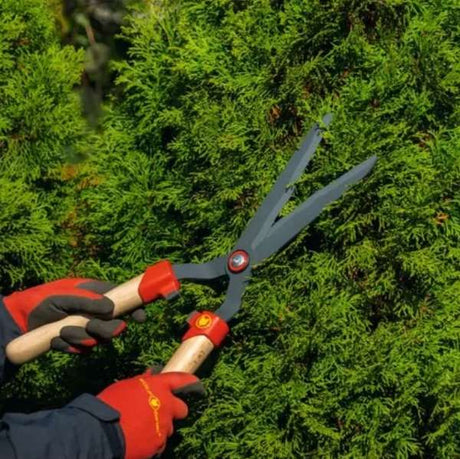 Foarfeca de pomi si vie – Ghid de alegere pentru modele esentiale
