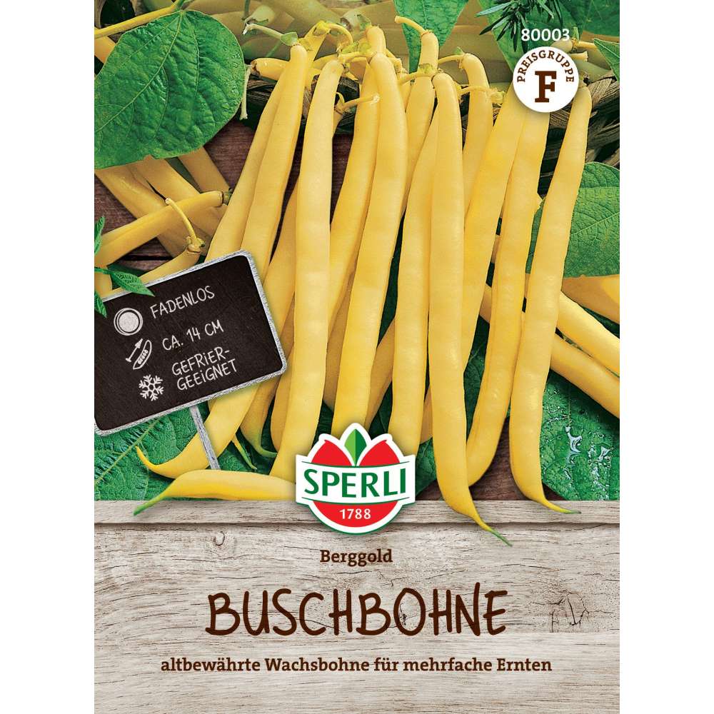 Seminte fasole pitica Berggold