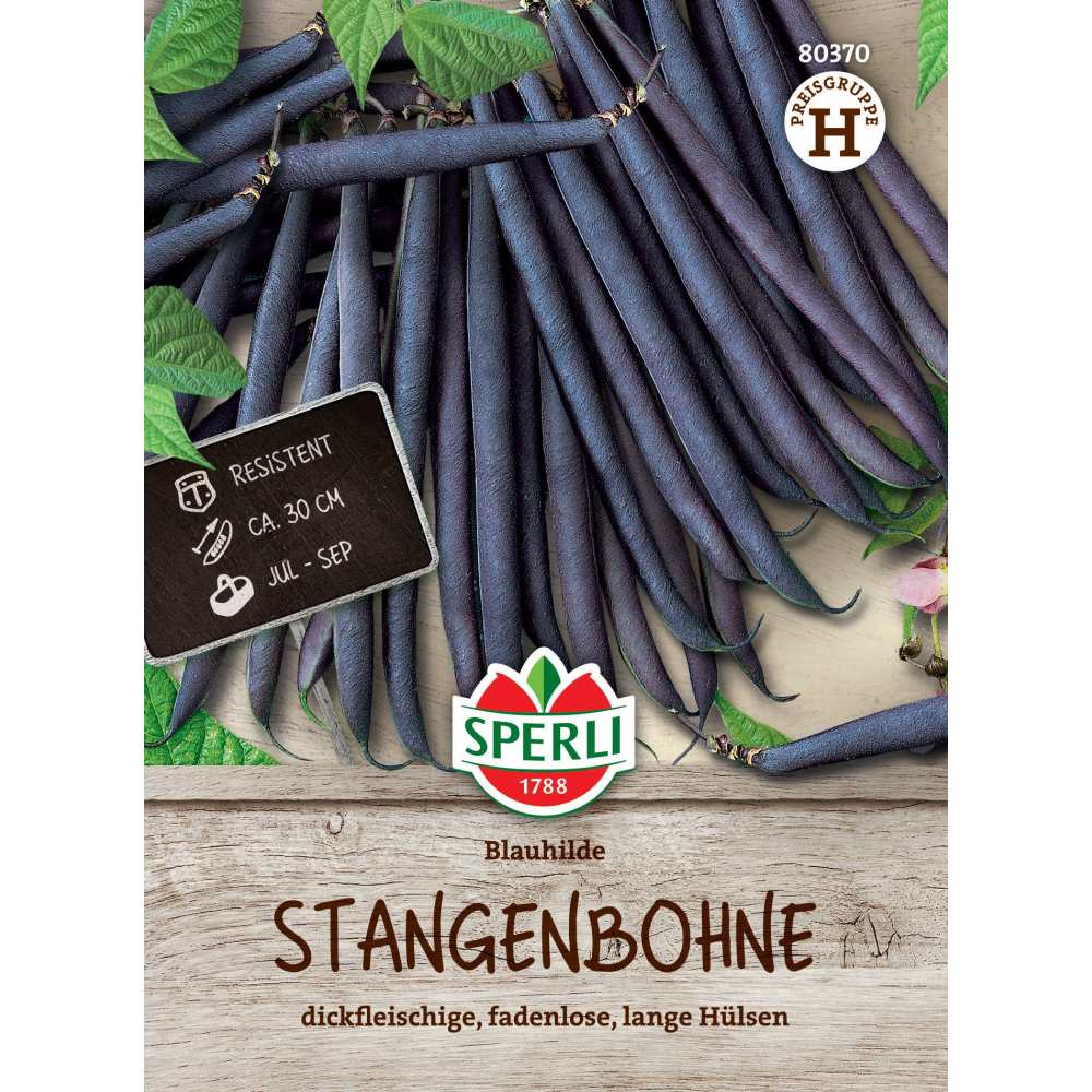 Seminte fasole urcatoare Blauhilde