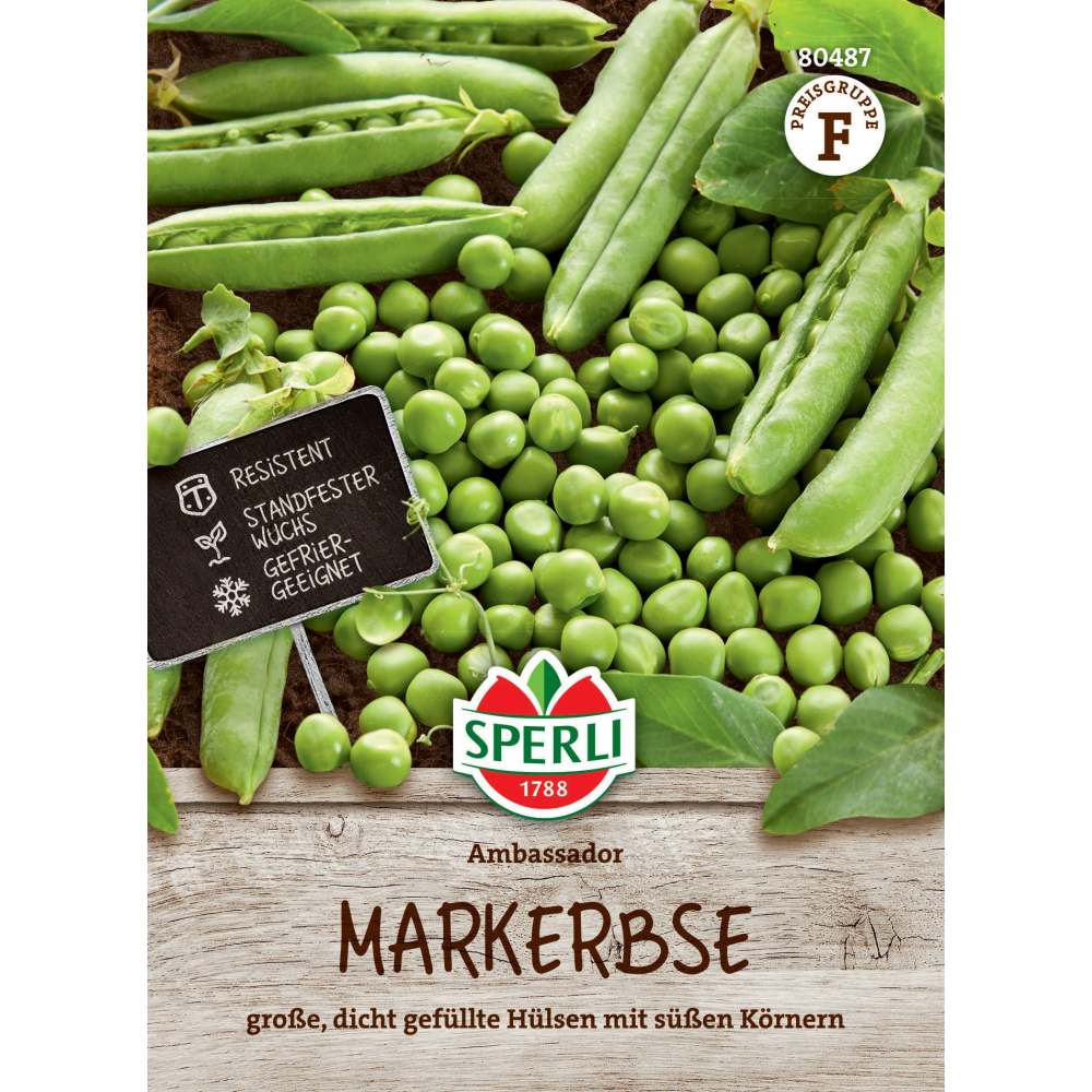 Seminte mazare Ambassador