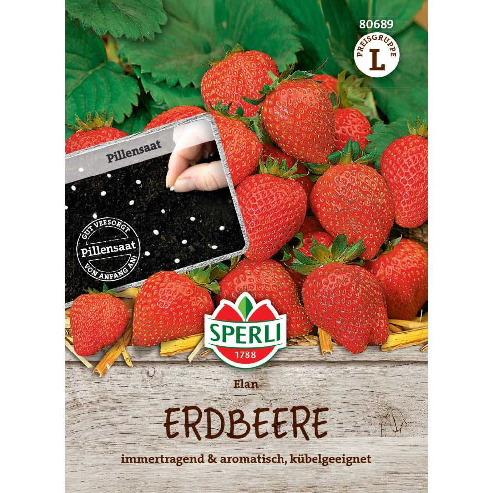 Seminte capsuni Elan