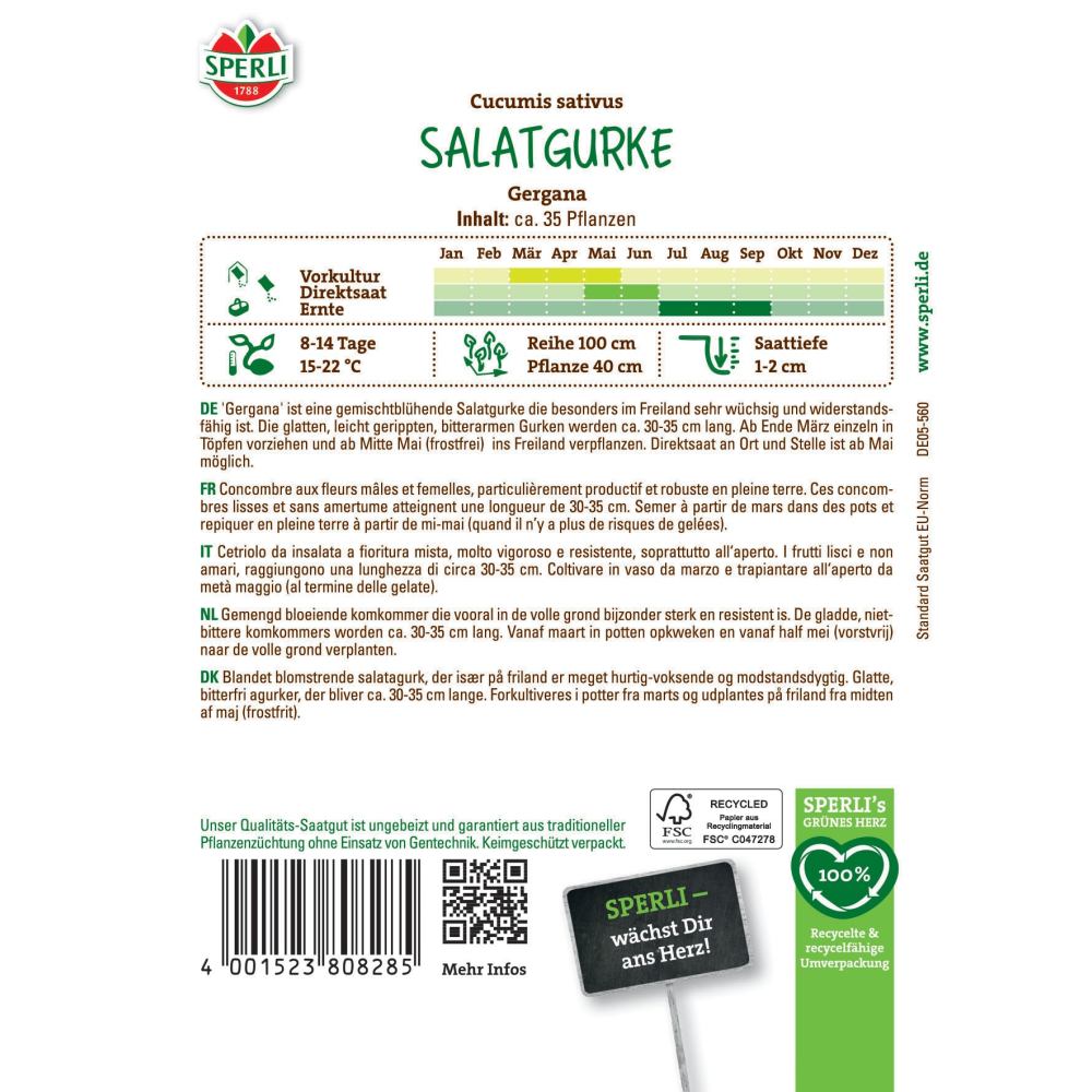 Seminte castraveti Gergana