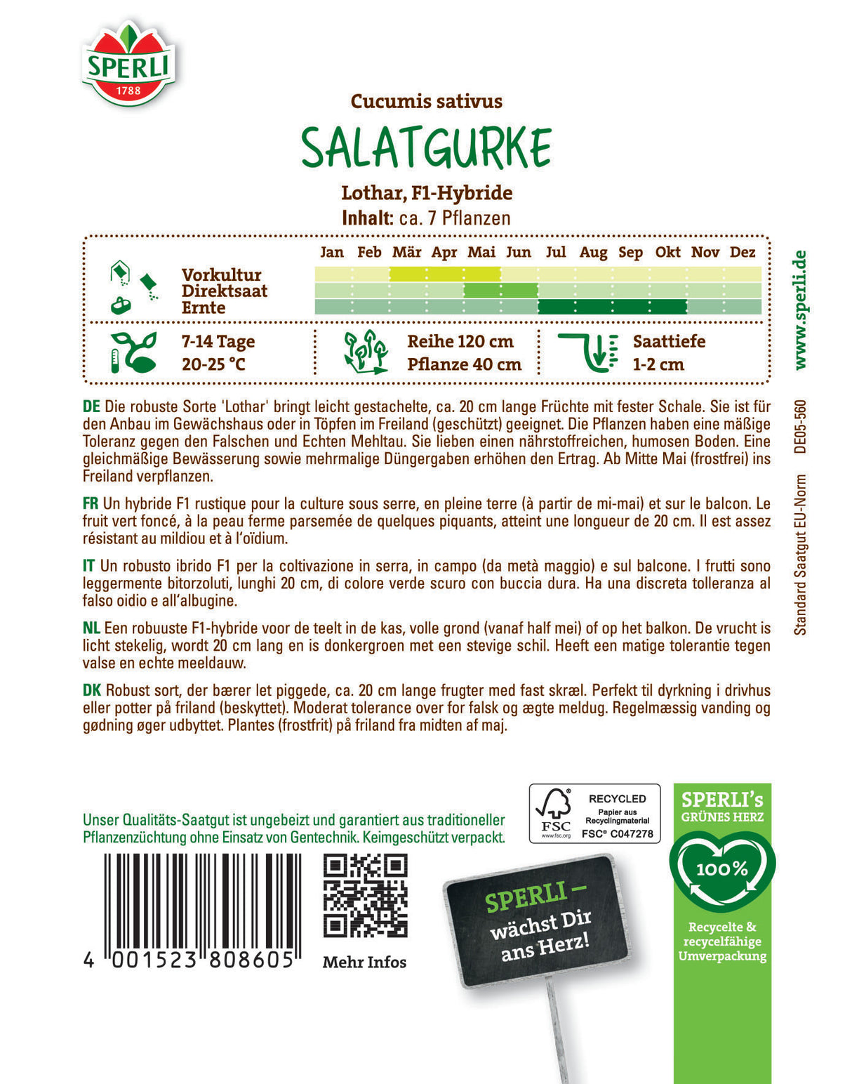 Seminte castraveti salata Lothar