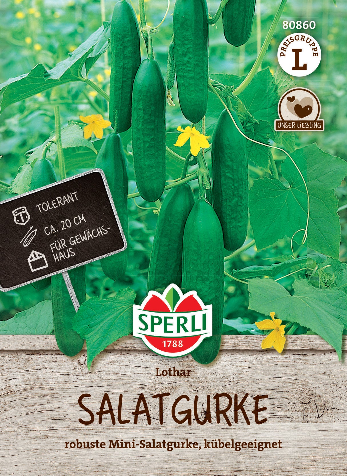 Seminte castraveti salata Lothar