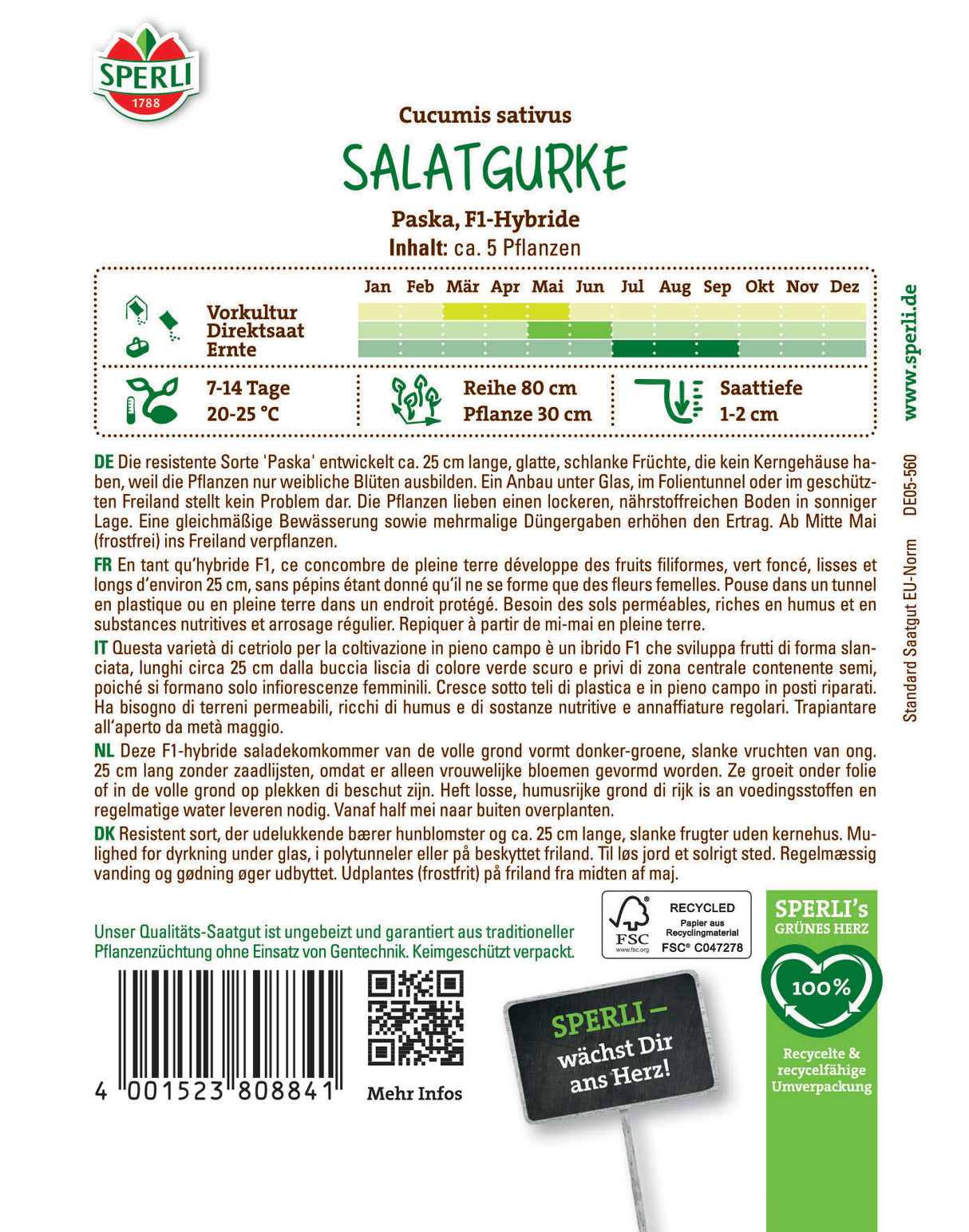 Seminte castraveti salata Paska