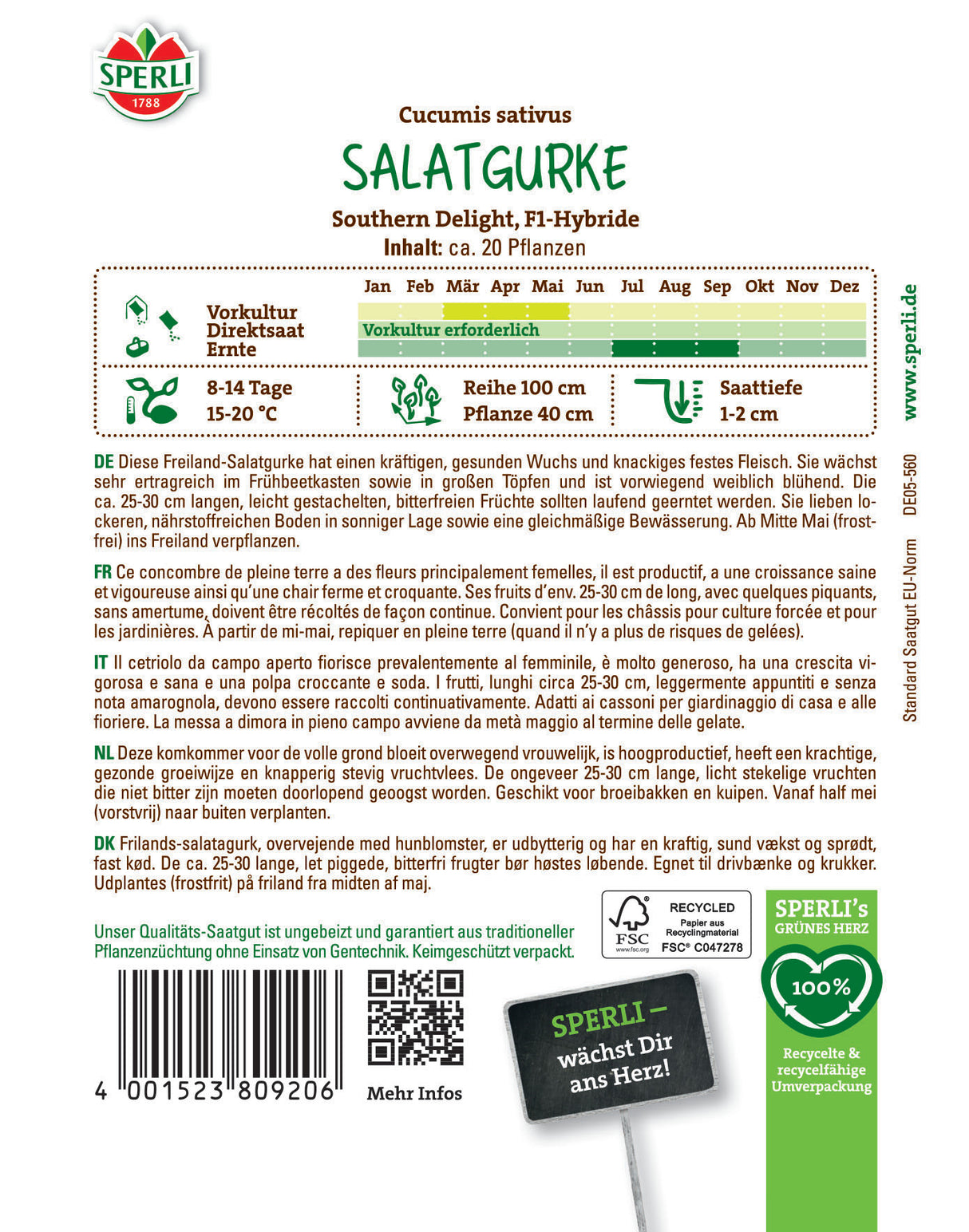 Seminte castraveti Southern Delight