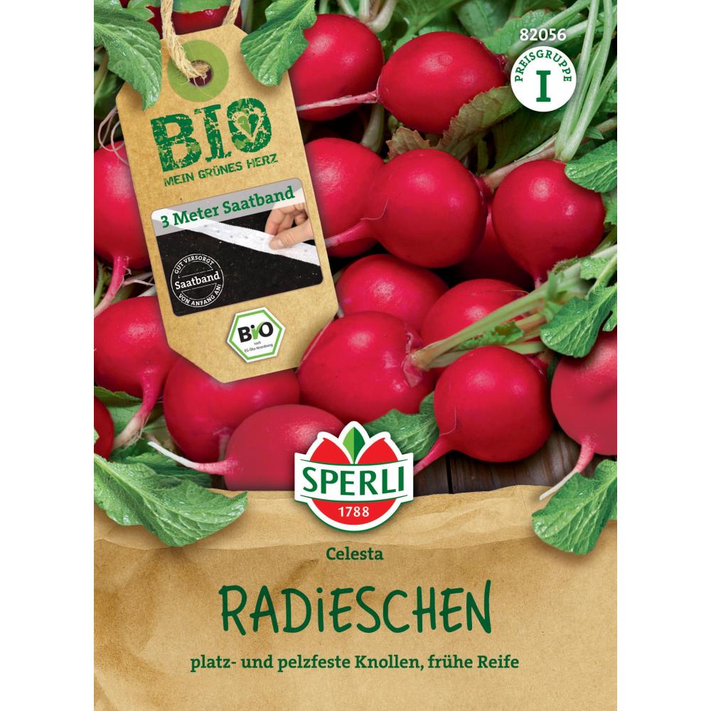 Seminte BIO ridiche cu banda