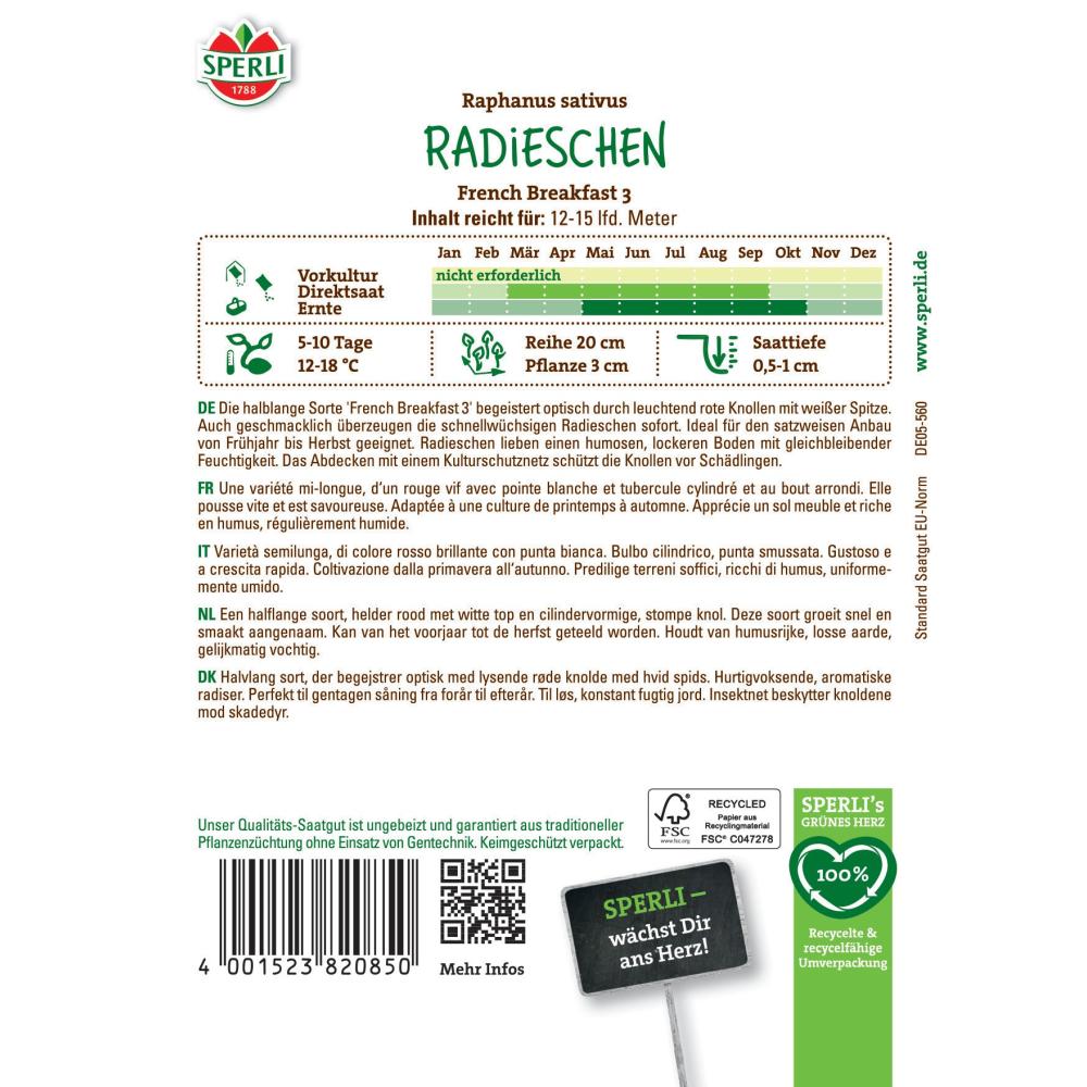 Seminte ridiche French Breakfast 3