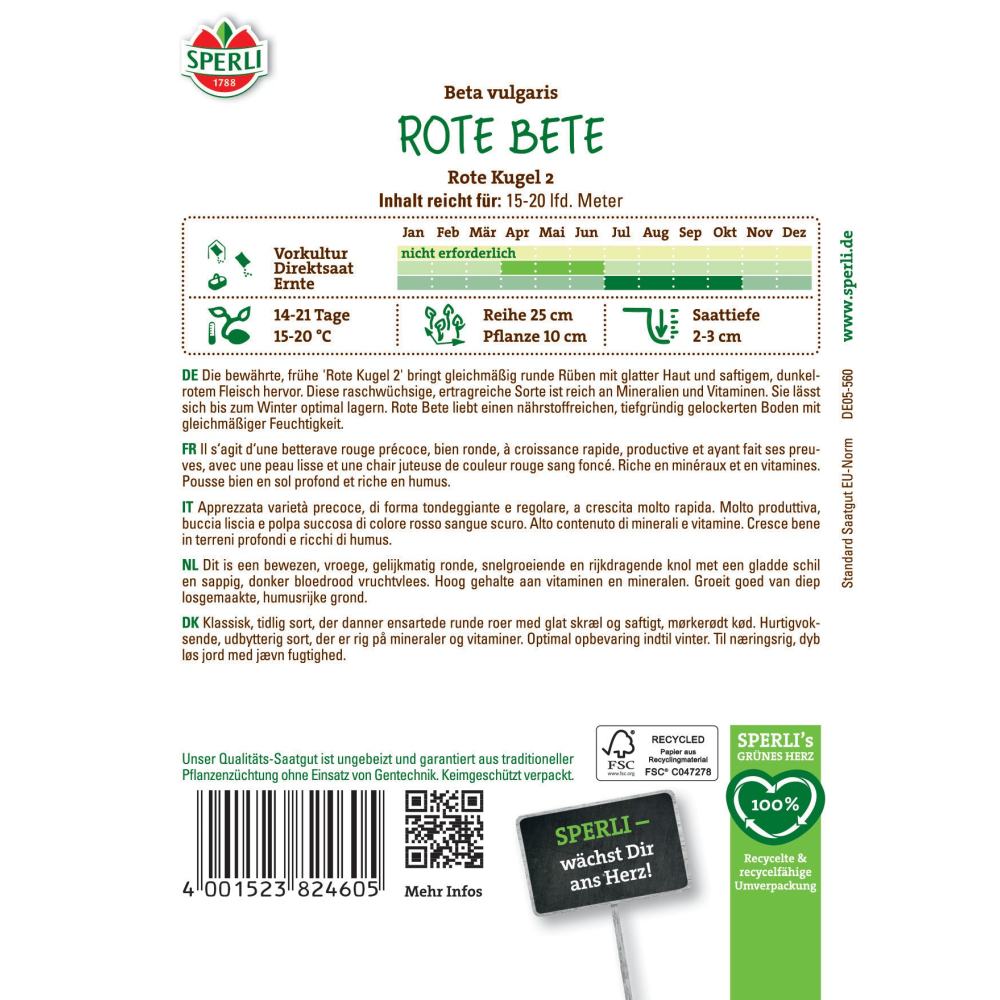 Seminte sfecla rosie Rote Kugel 2