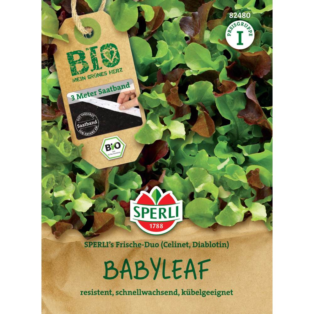 Seminte BIO salata Babyleaf