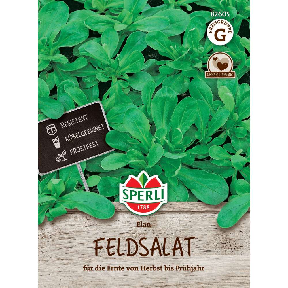 Seminte salata de camp Elan