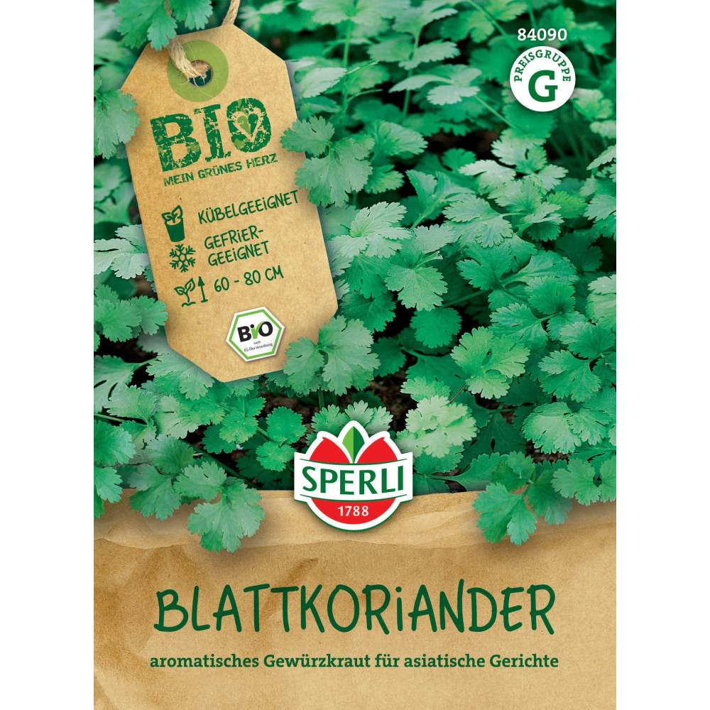 Seminte BIO coriandru