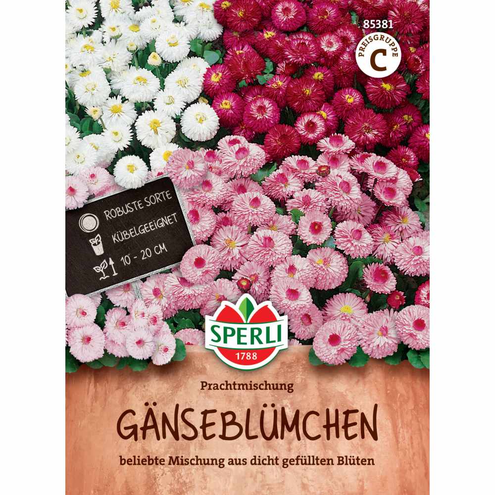 Seminte margarete mixte – Ganseblumchen Prachtmischung, ajunge pentru 70 Plante, cu protectie germinatie