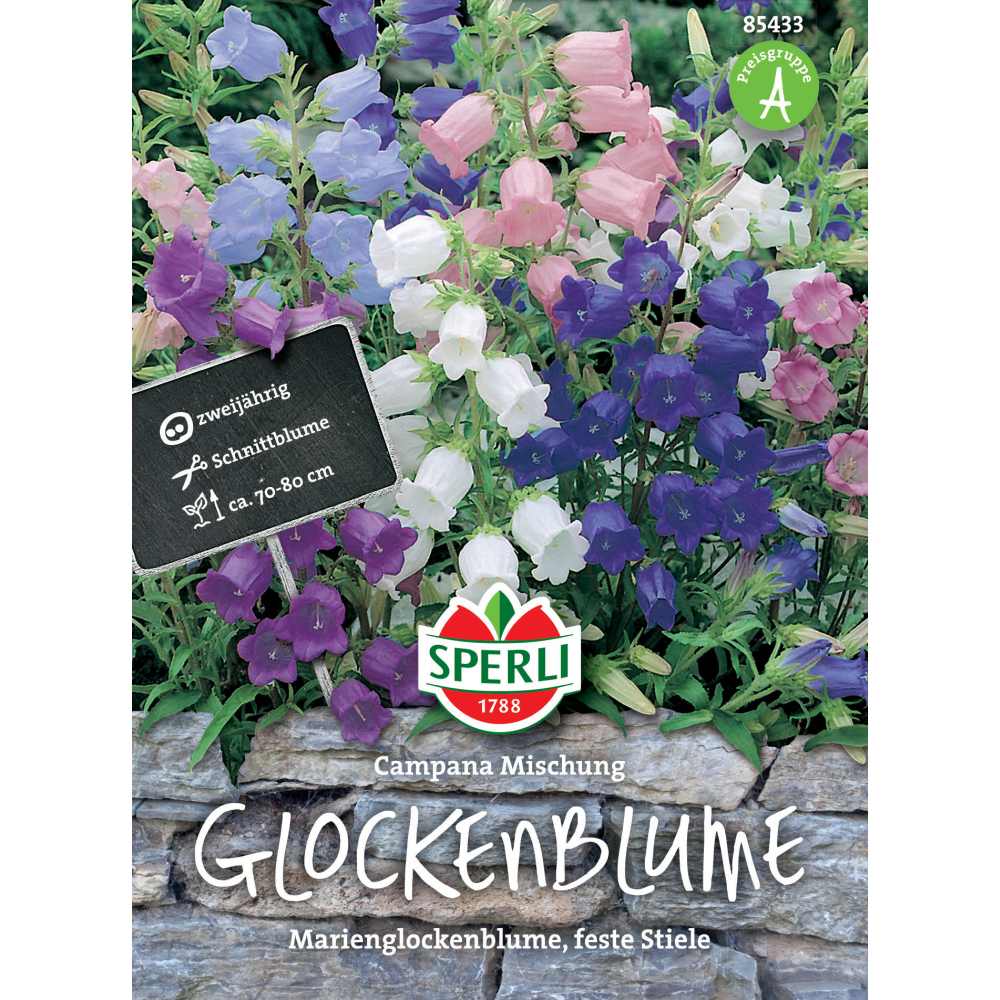 Seminte clopotei Campana Mischung – flori parfumate, ajunge pentru 100 Plante, cu protectie germinatie