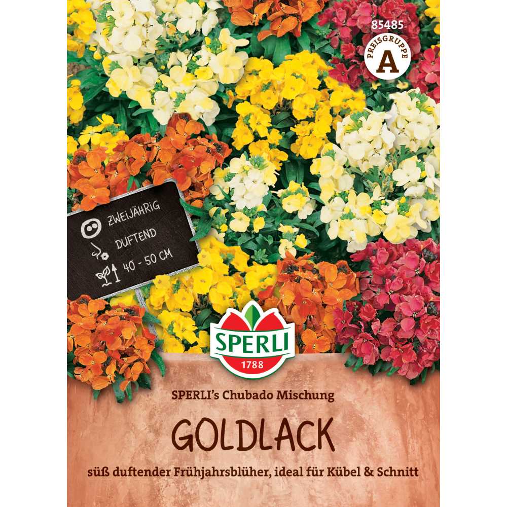 Seminte goldlac SPERLI Chubado – flori galbene si portocalii, ajunge pentru 60 Plante, cu protectie germinatie