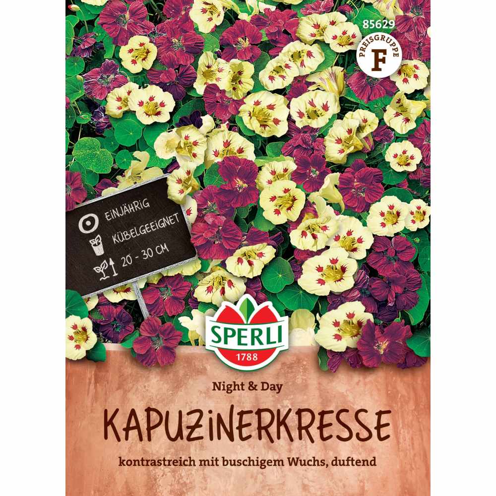 Seminte condurul doamnei Night Day sperli