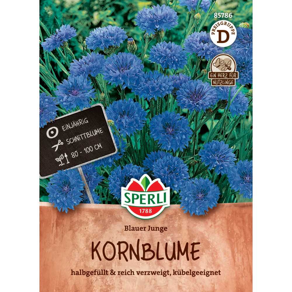 Seminte albastre de albastrele Blauer Junge