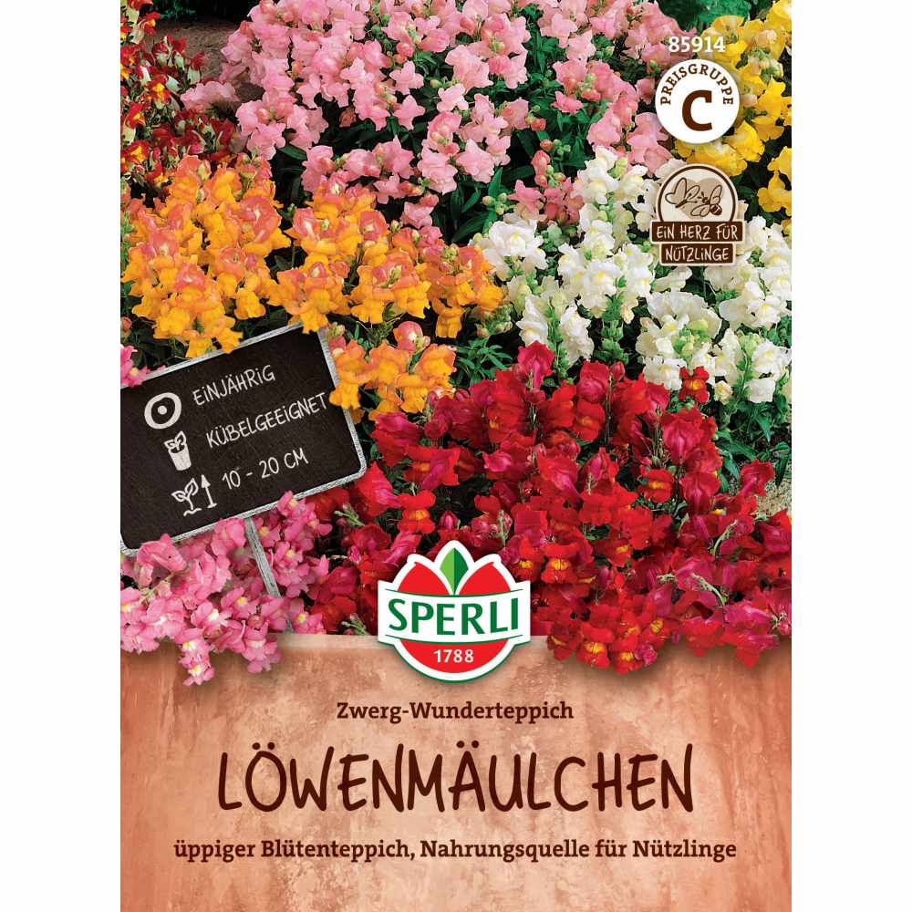 Seminte gura-leului pitic – flori viu colorate, ajunge pentru 60 Plante, cu protectie germinatie