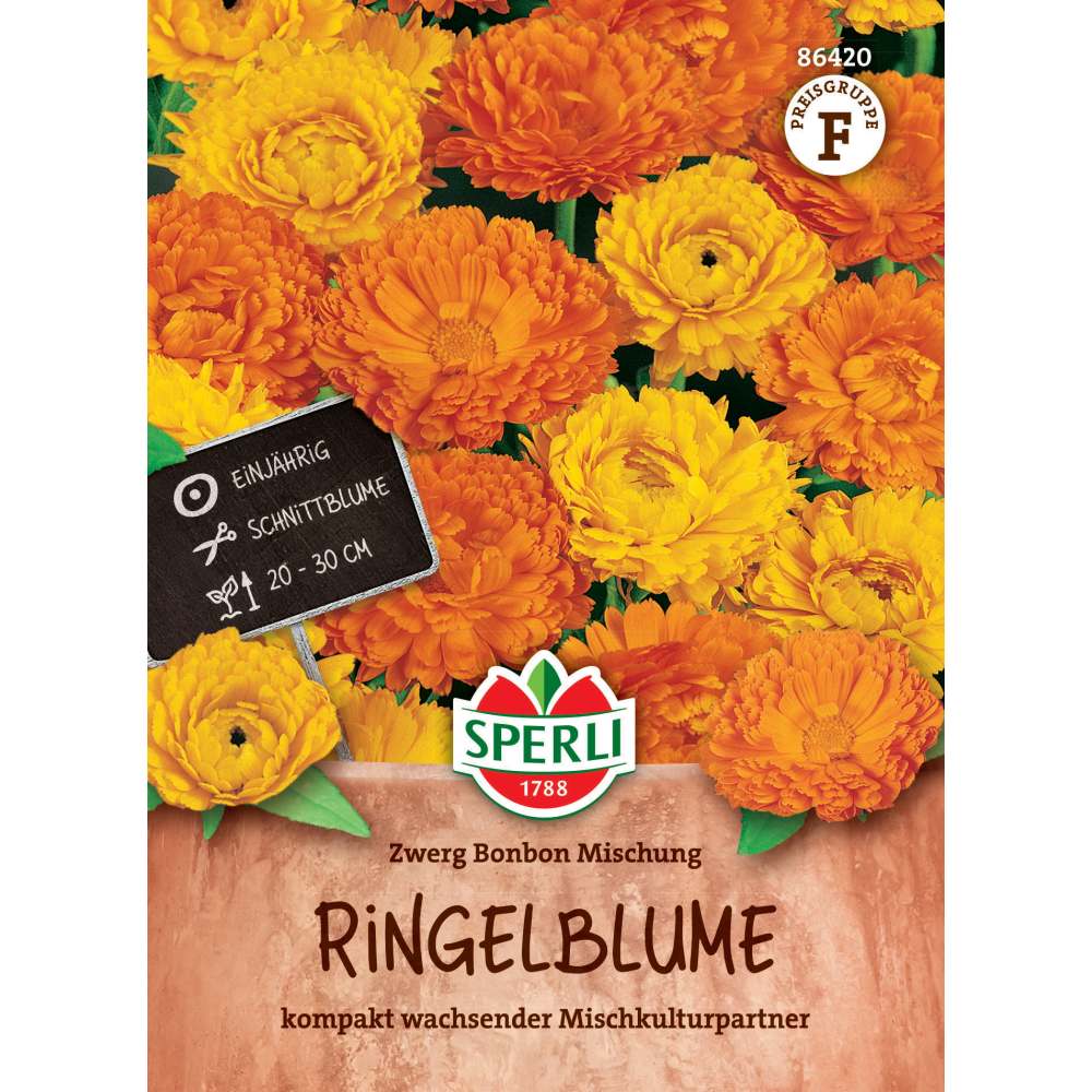 Seminte de galbenele pitice – amestec Bonbon Zwerg pentru borduri, ajunge pentru 60 Plante, cu protectie germinatie