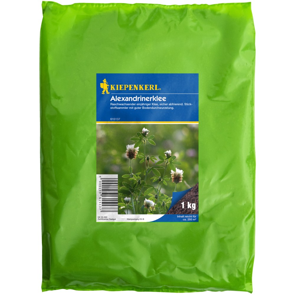 Seminte de trifoi alexandrin – 1 kg, ingrasamant verde pentru sol, ajunge pentru 250 m²
