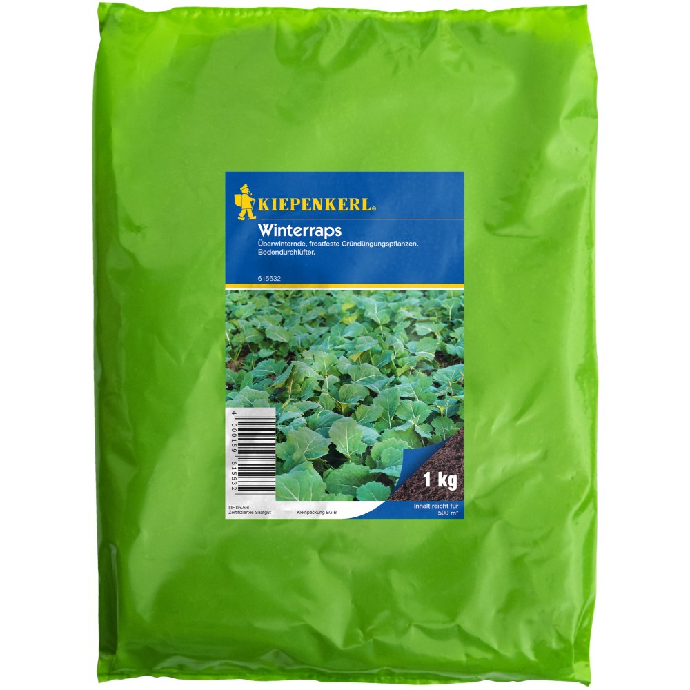 Seminte de rapita de iarna – 1 kg, cultura tehnica si melifera, ajunge pentru 500 m², cu protectie germinatie