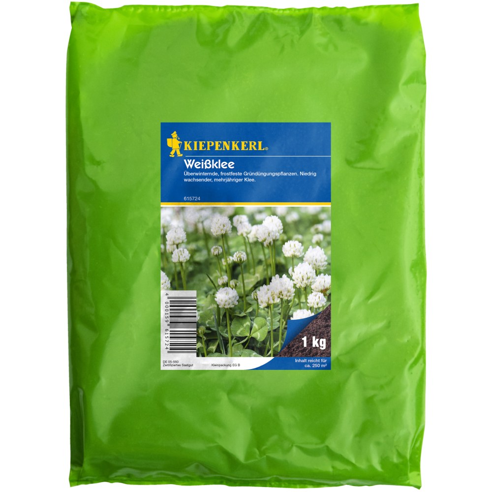 Seminte de trifoi alb – 1 kg, fixator de azot si acoperire sol, ajunge pentru 250 m²