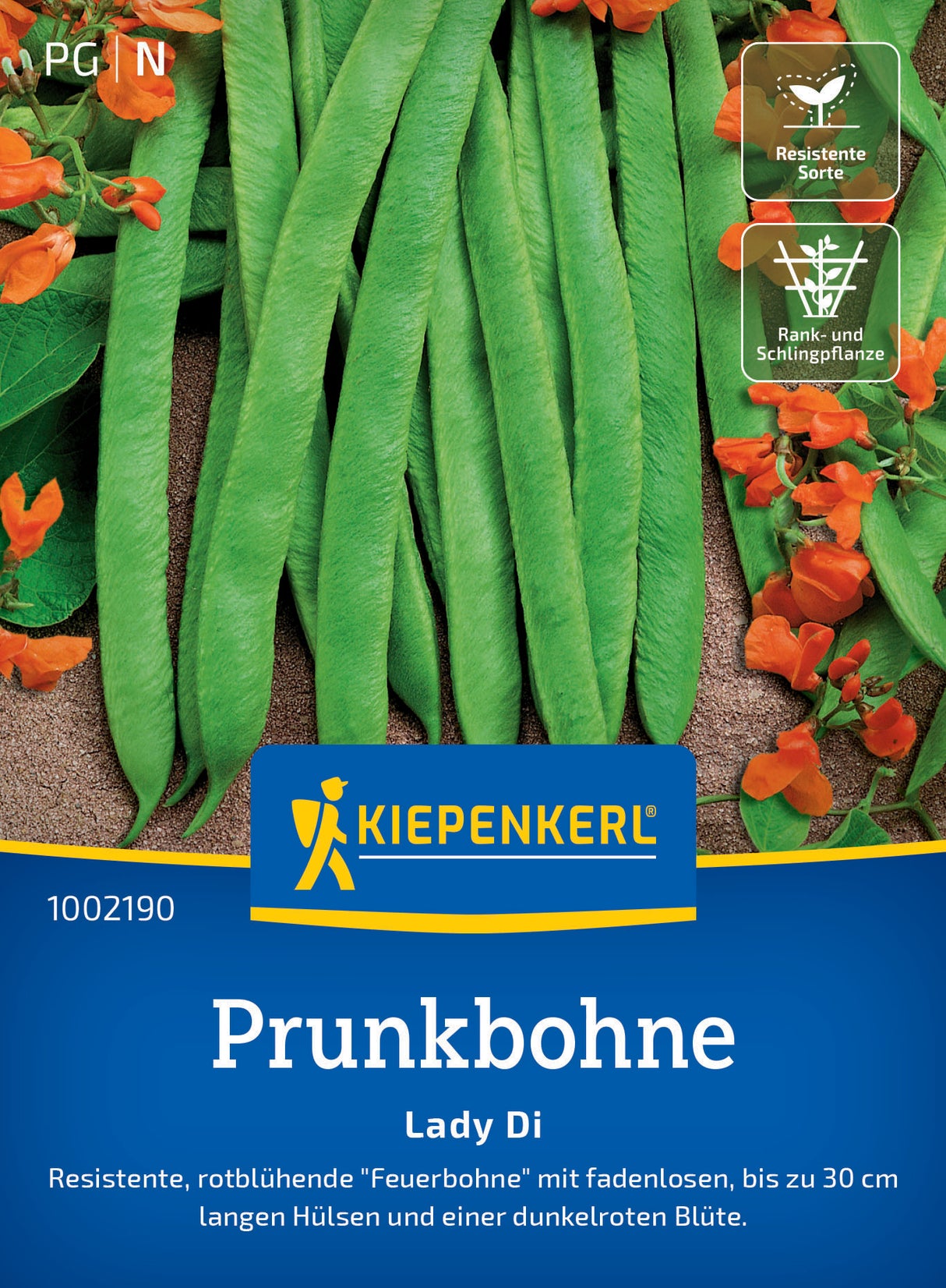 seminte fasole urcatoare lady di