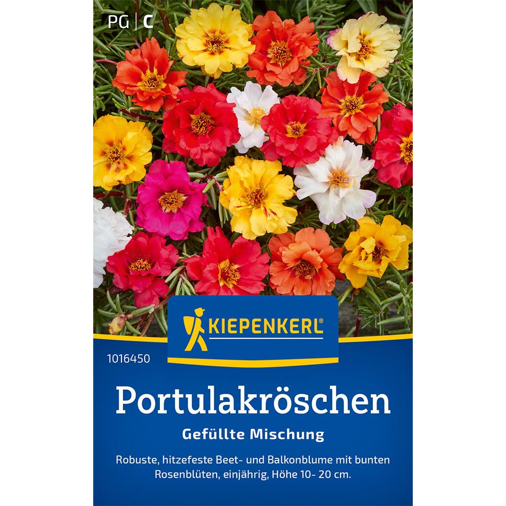 Seminte de portulaca cu flori duble – amestec colorat, ajunge pentru 120 Plante
