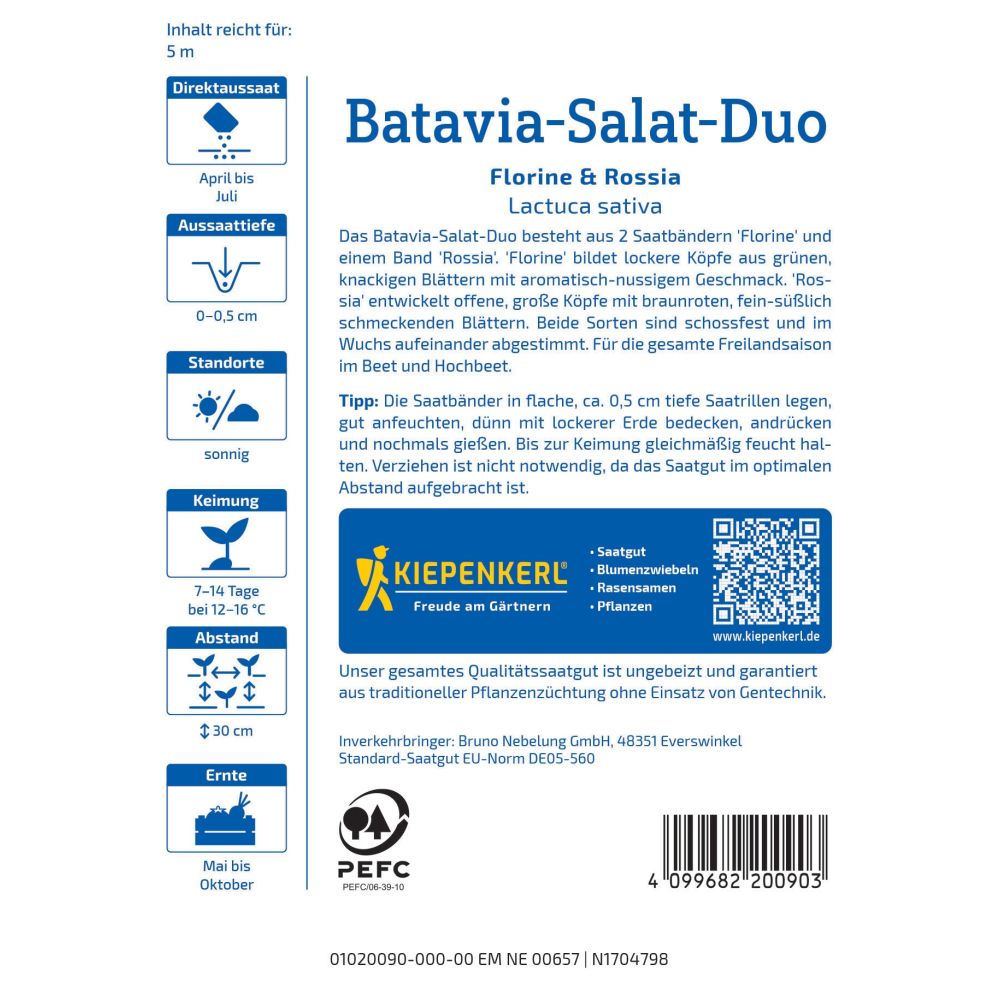 seminte mix salata batavia florine si rossia