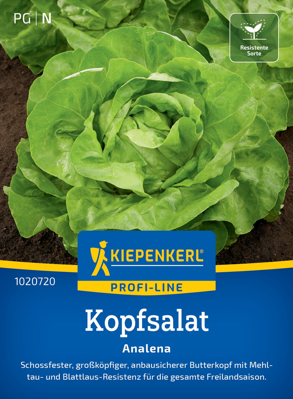 seminte salata capatana analena rapid