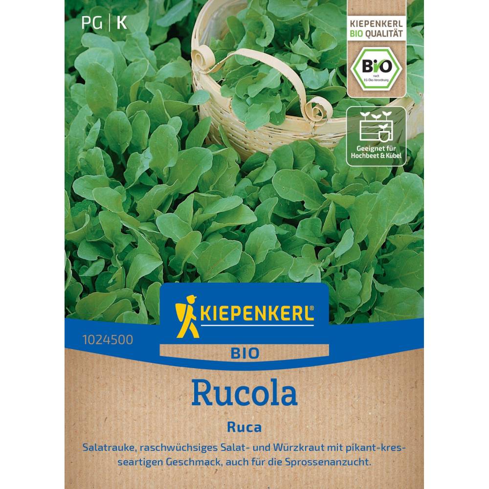 seminte rucola ruca bio