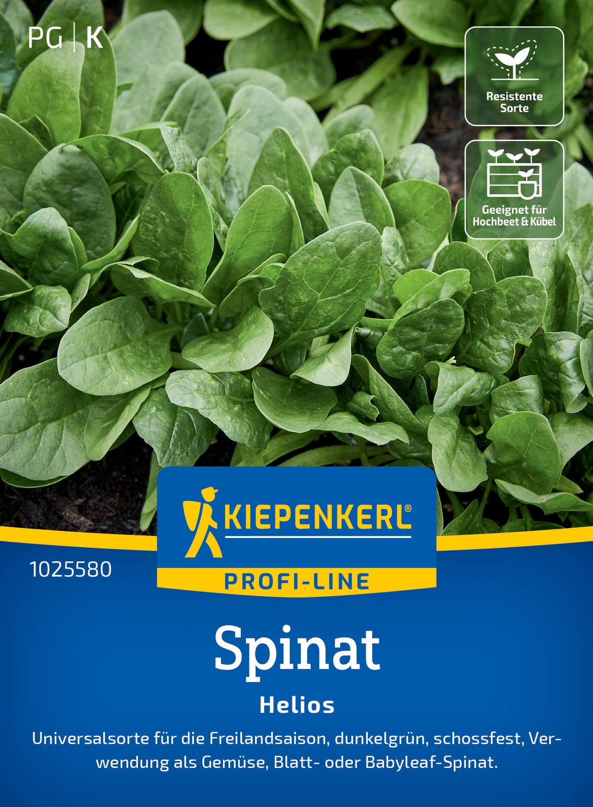 seminte spanac helios