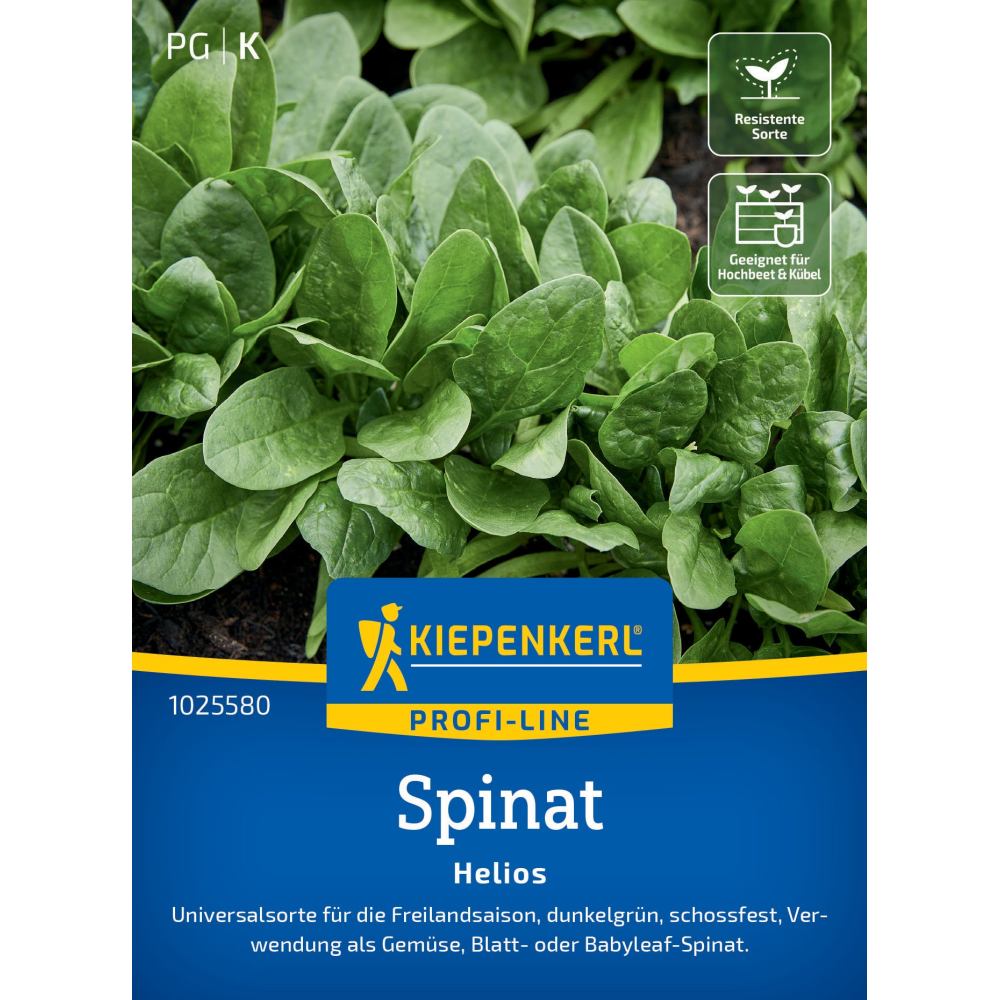 seminte spanac helios