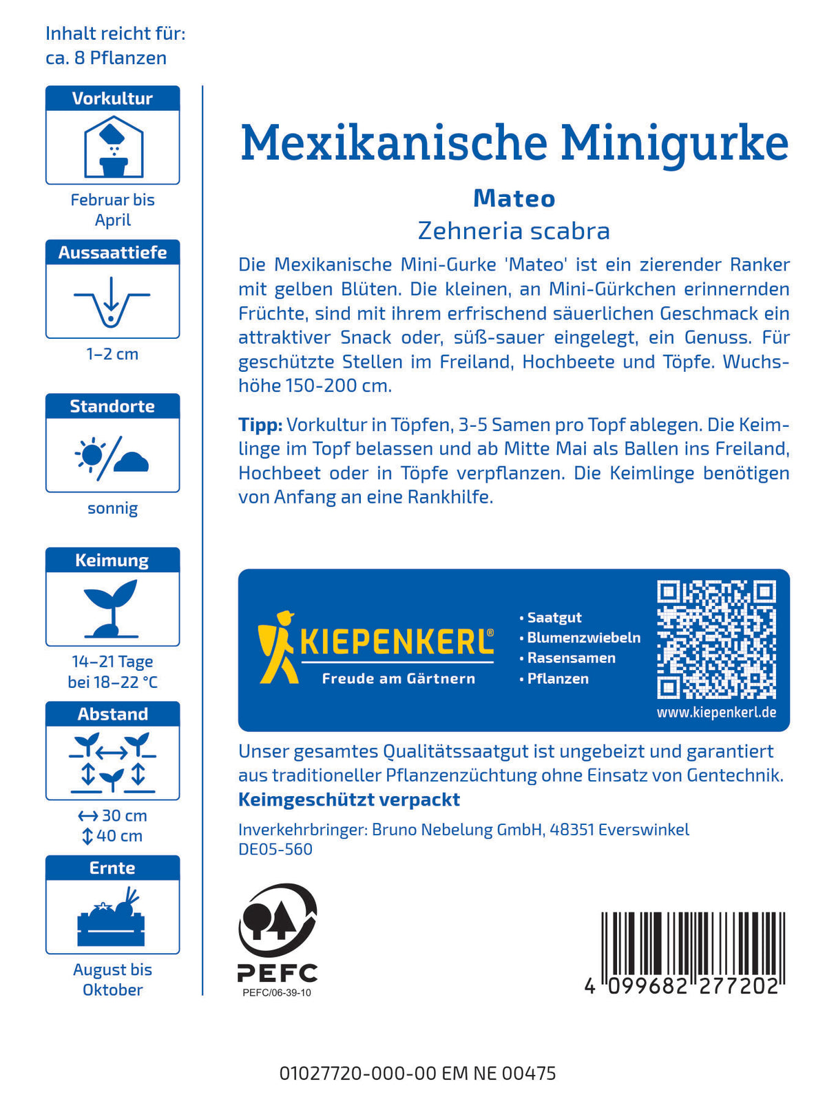 seminte castraveti mini mexicani mateo