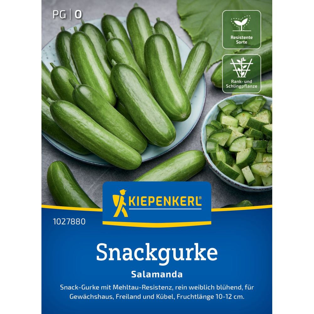 seminte castraveti gustare salamanda