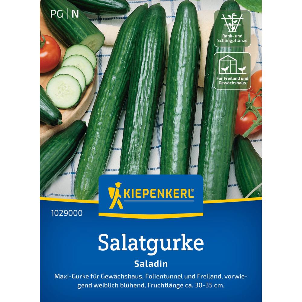 seminte castraveti saladin