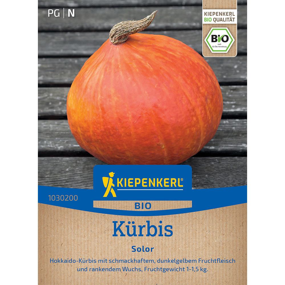 Seminte de dovleac Solor Bio– pulpa dulce si consistenta, ajunge pentru 5 Plante