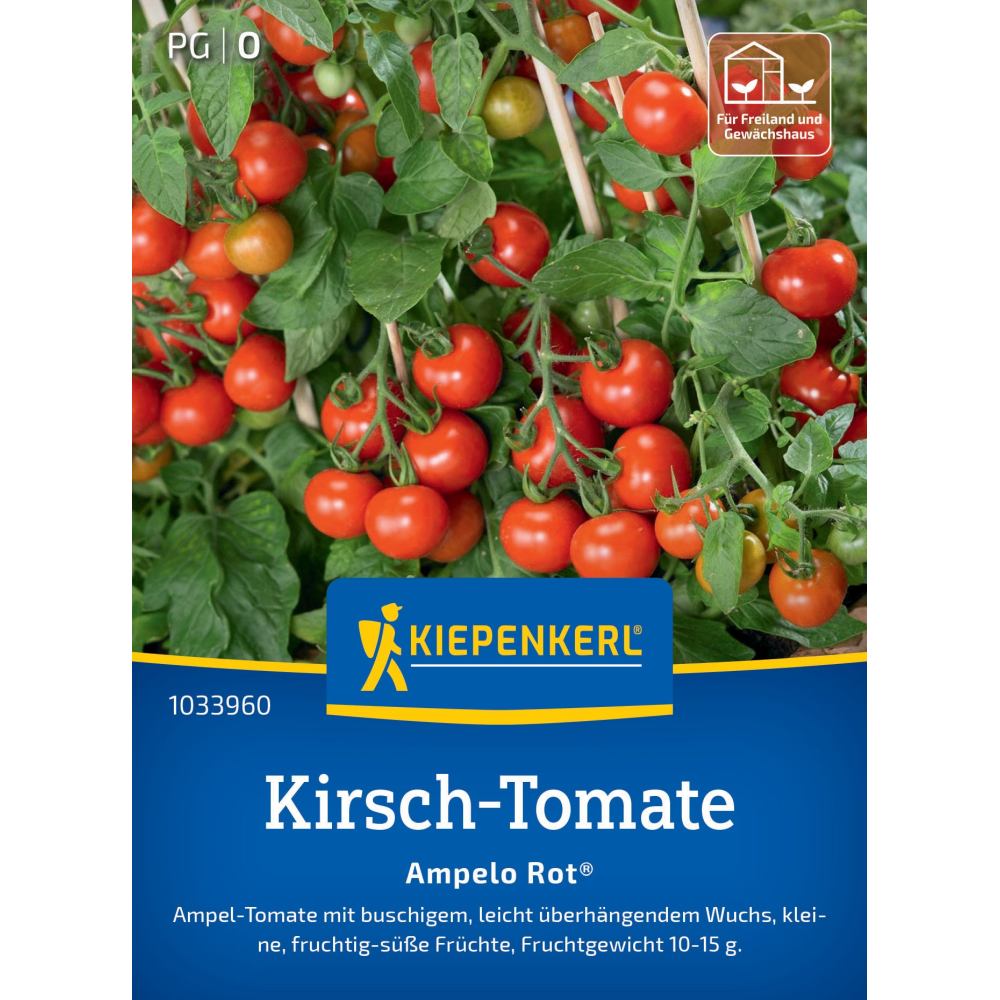 seminte rosii cherry ampelo rosu