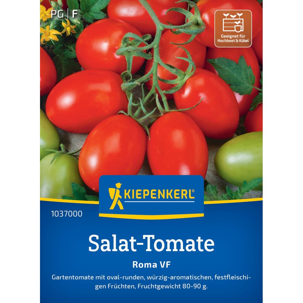 seminte rosii salata roma vf