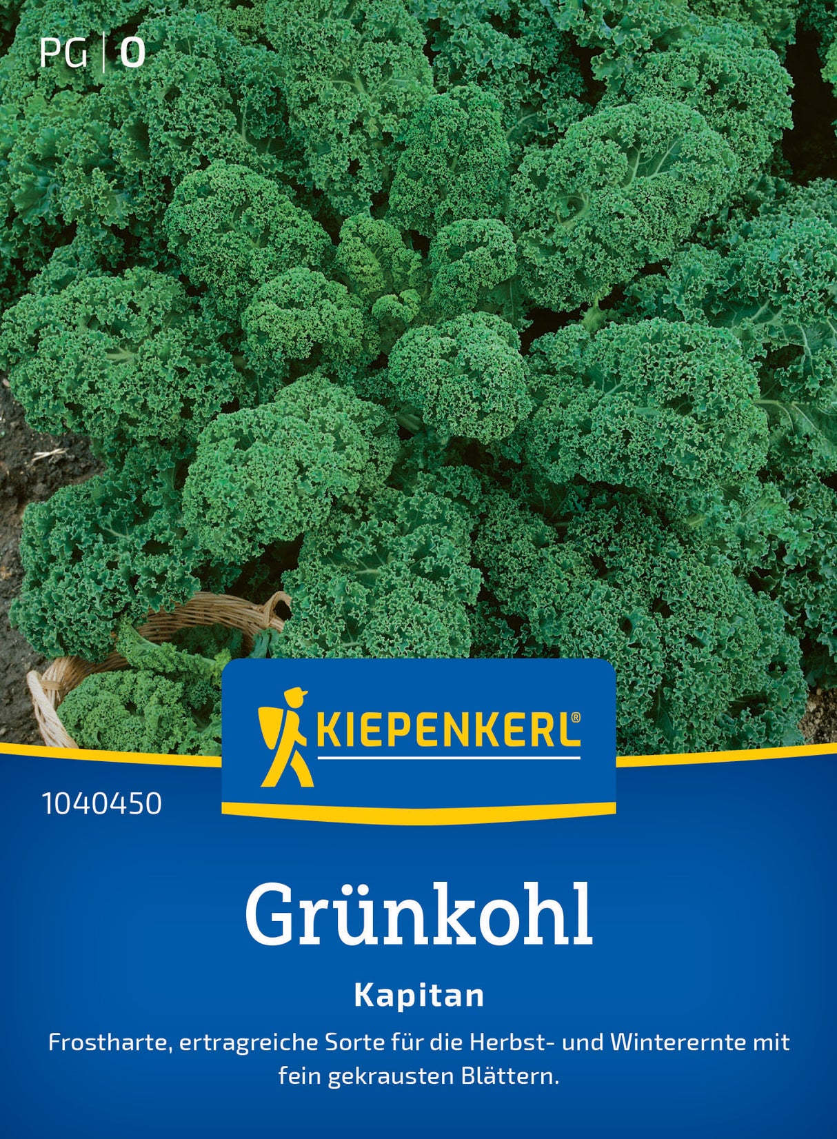 seminte varza kale kapitan