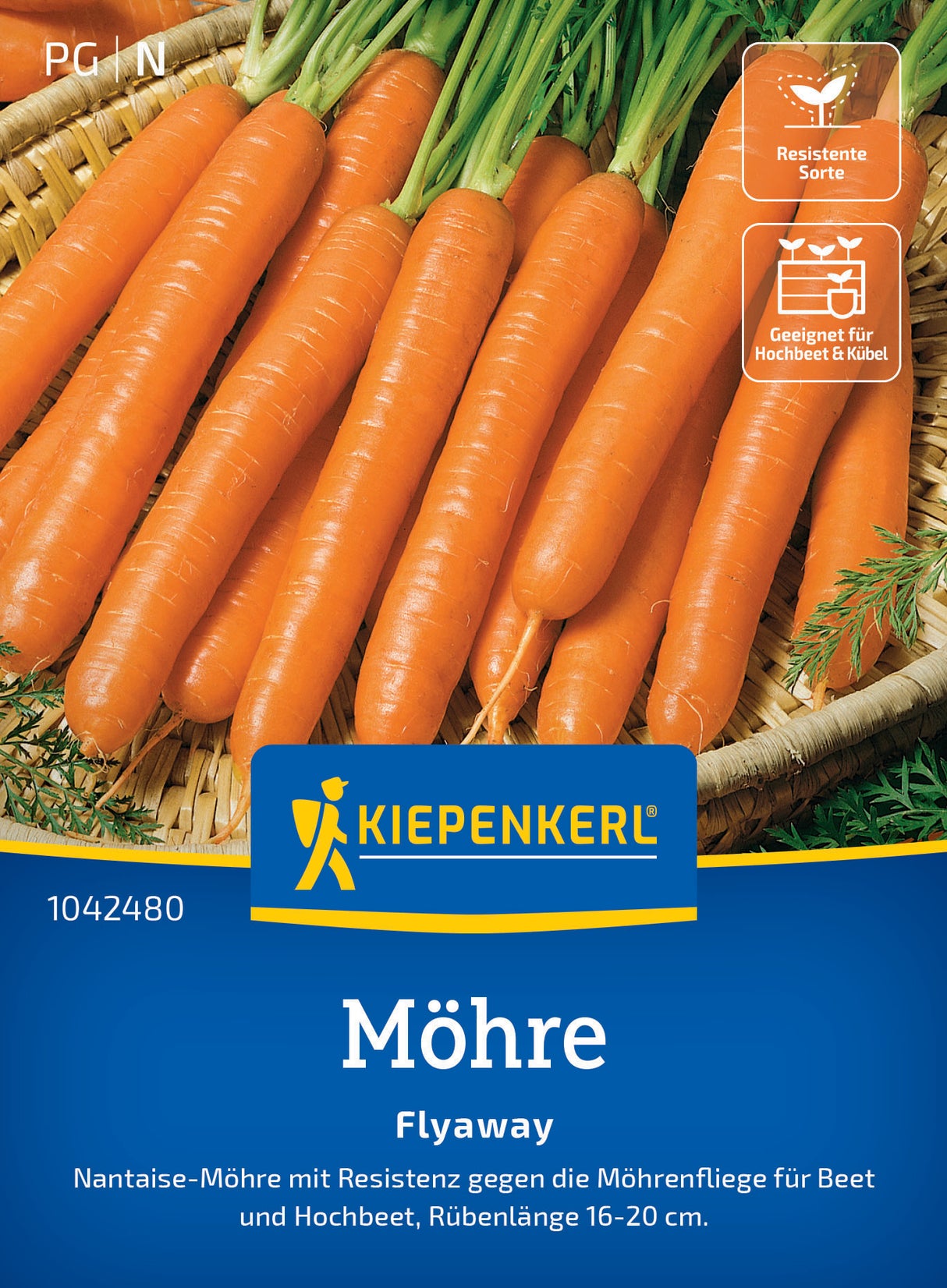 seminte morcov flyaway