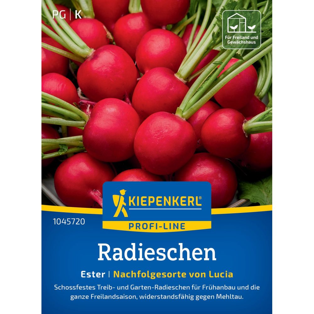 seminte ridichi ester