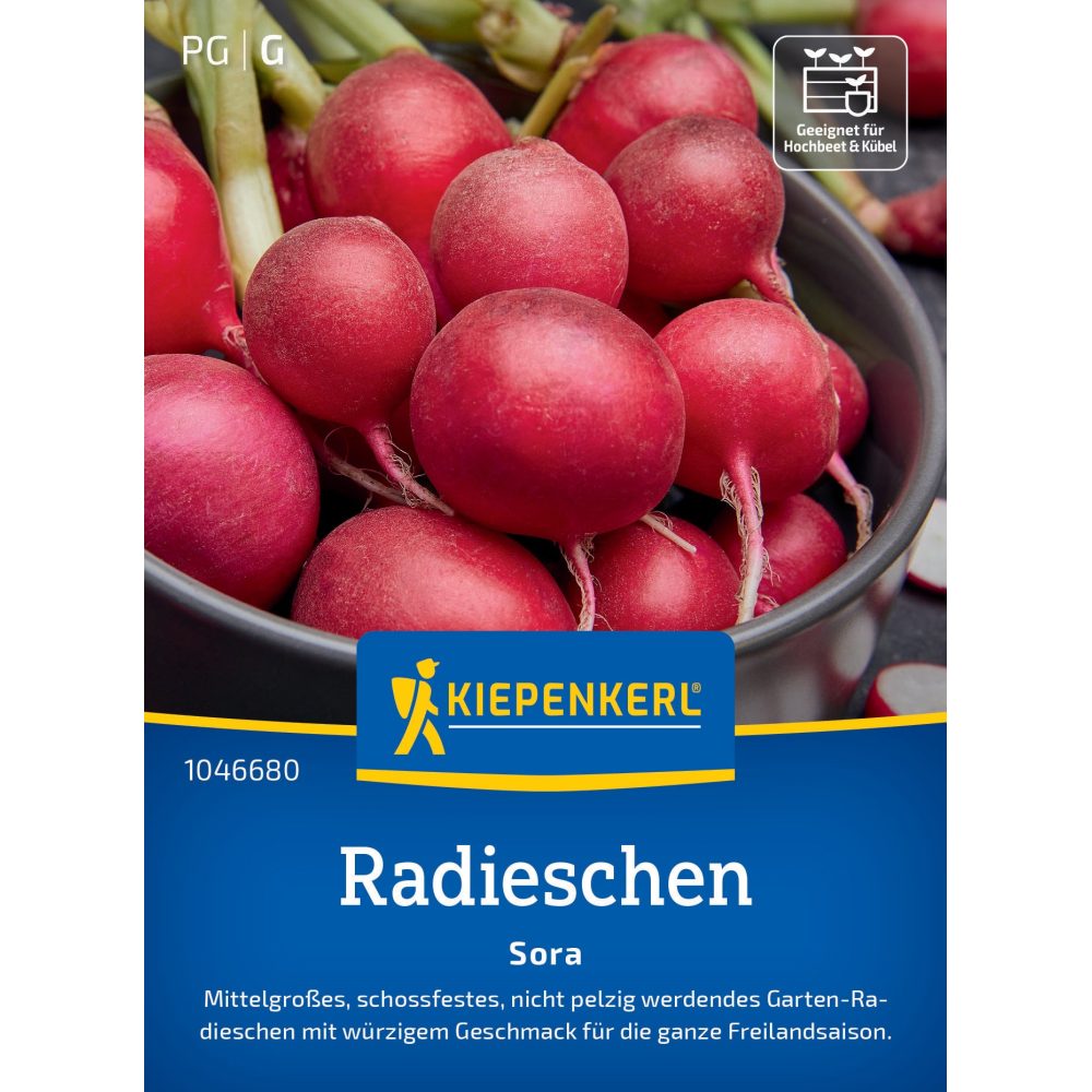 seminte ridichi sora