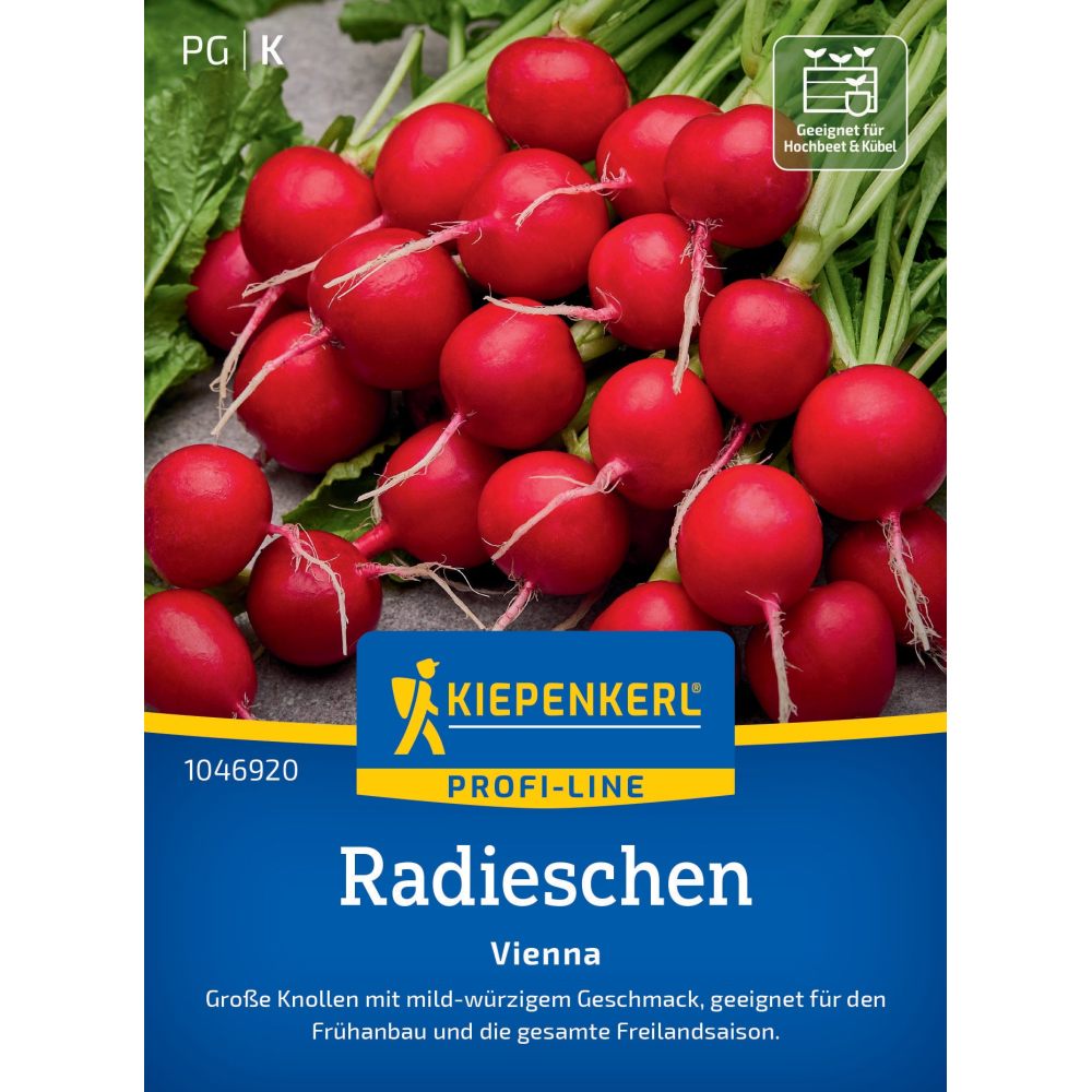 seminte ridichi vienna