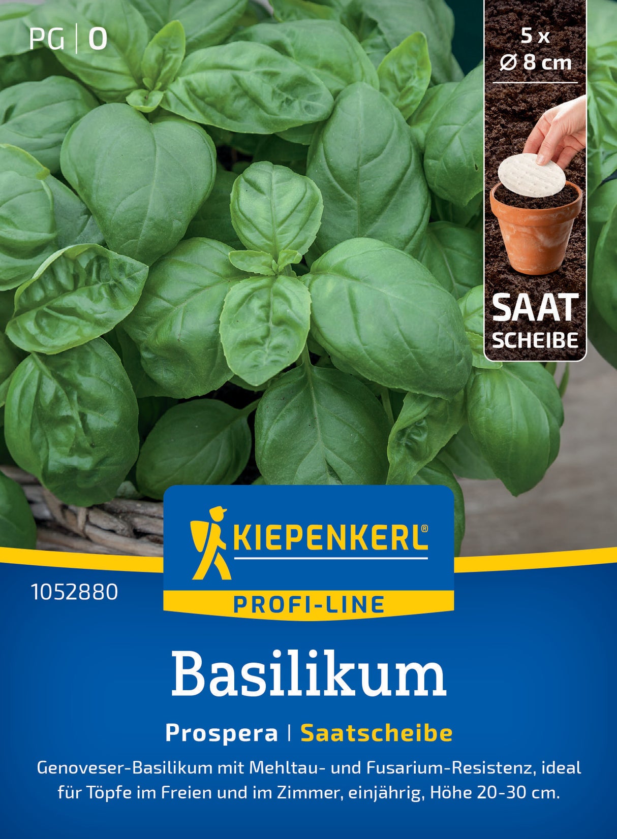 seminte busuioc prospera