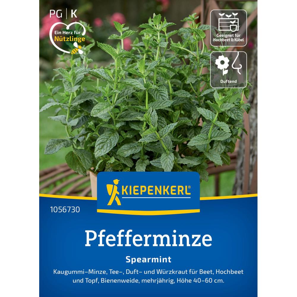 seminte menta spearmint