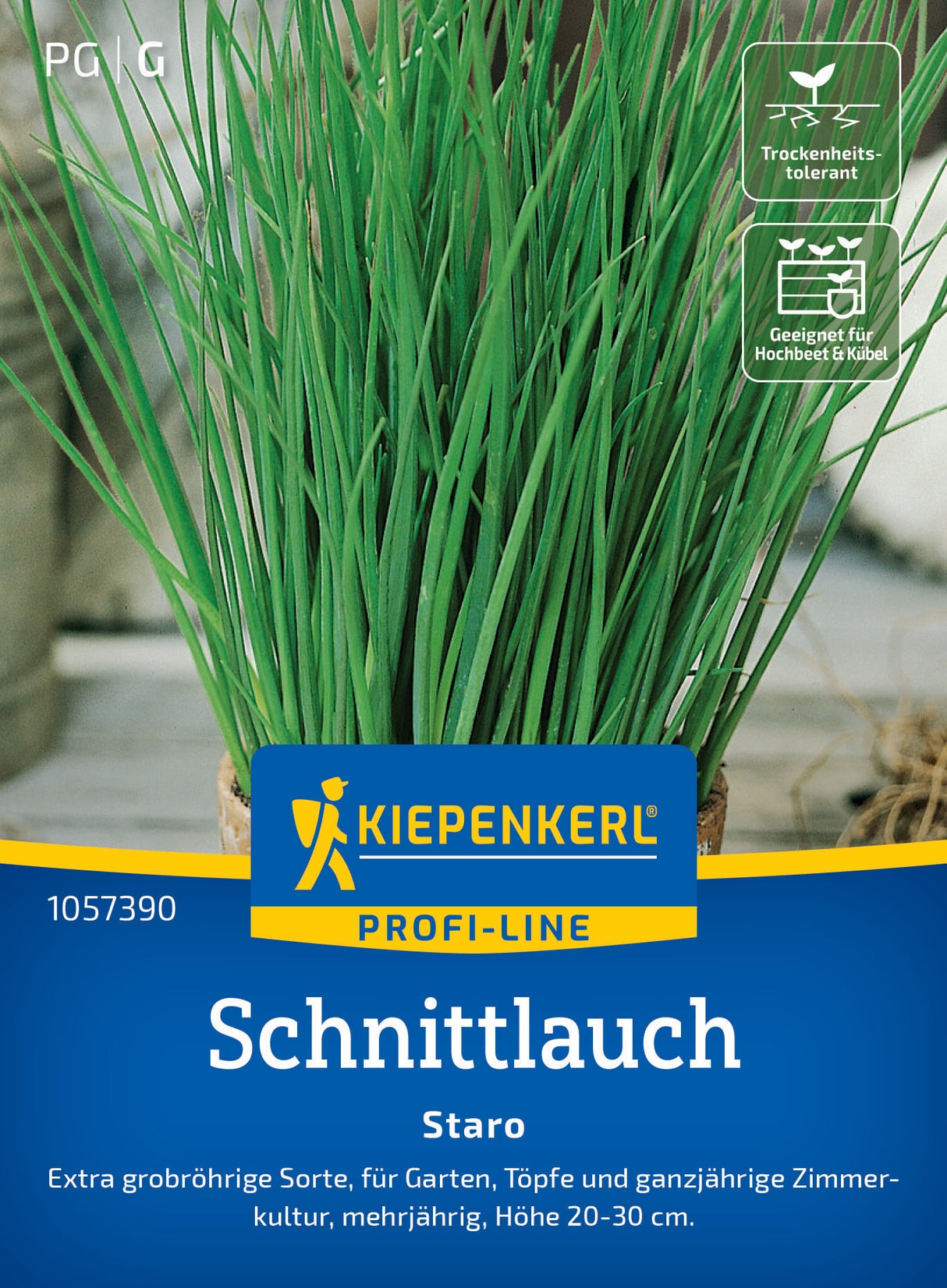 seminte arpagic staro