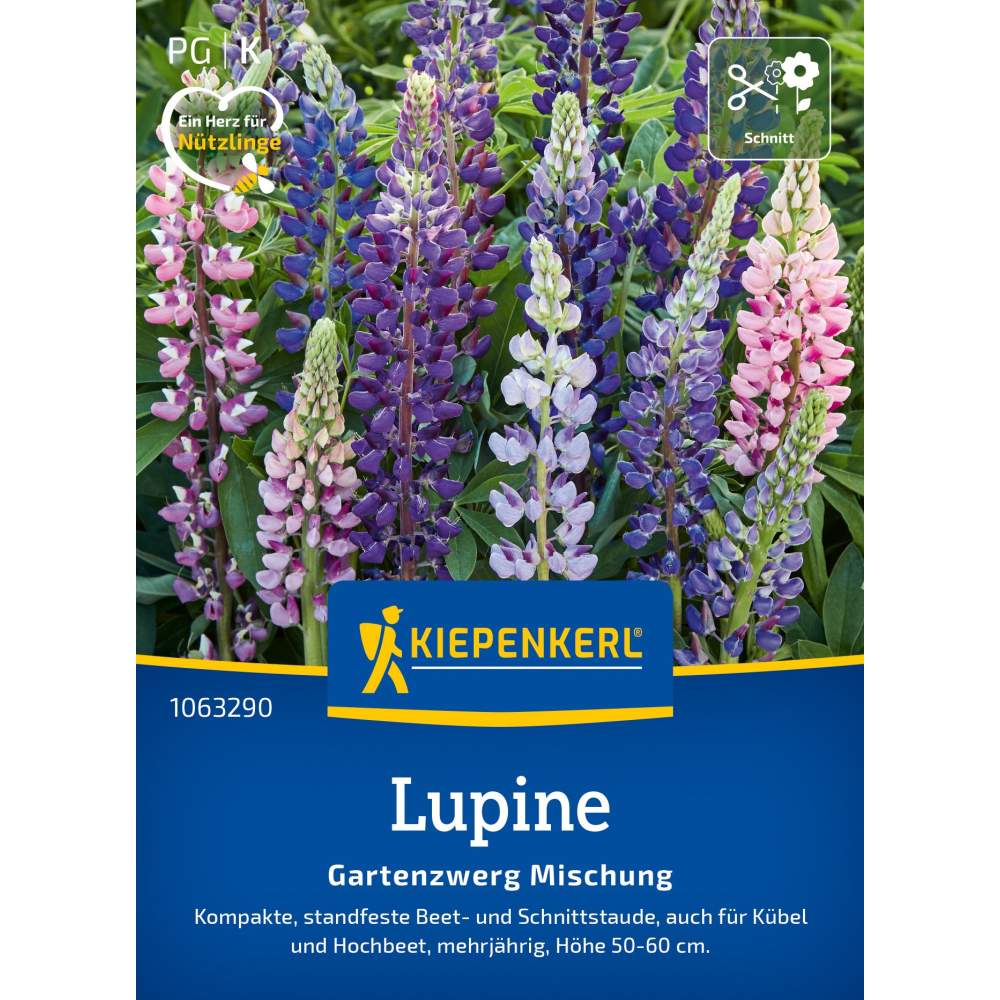 seminte lupin pitic mix