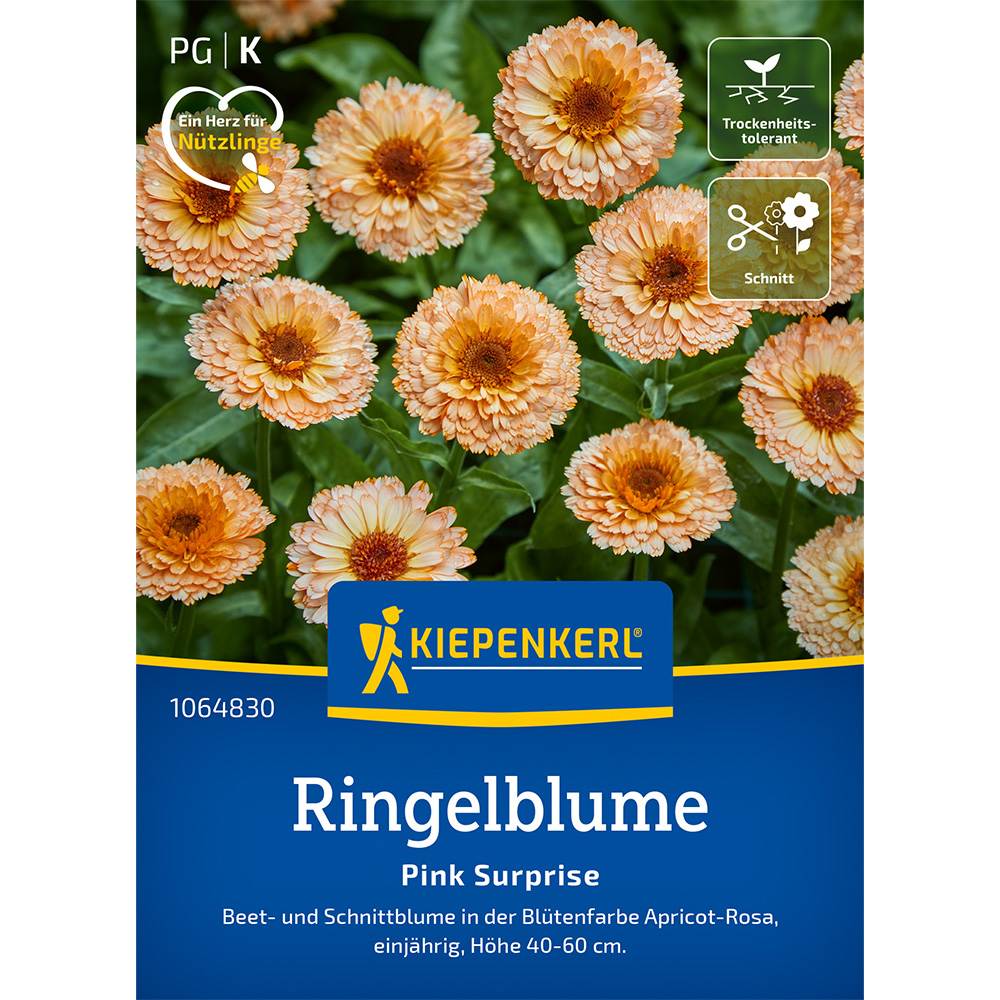 Seminte de galbenele Pink Surprise – flori roz neobisnuite, ajunge pentru 40 Plante