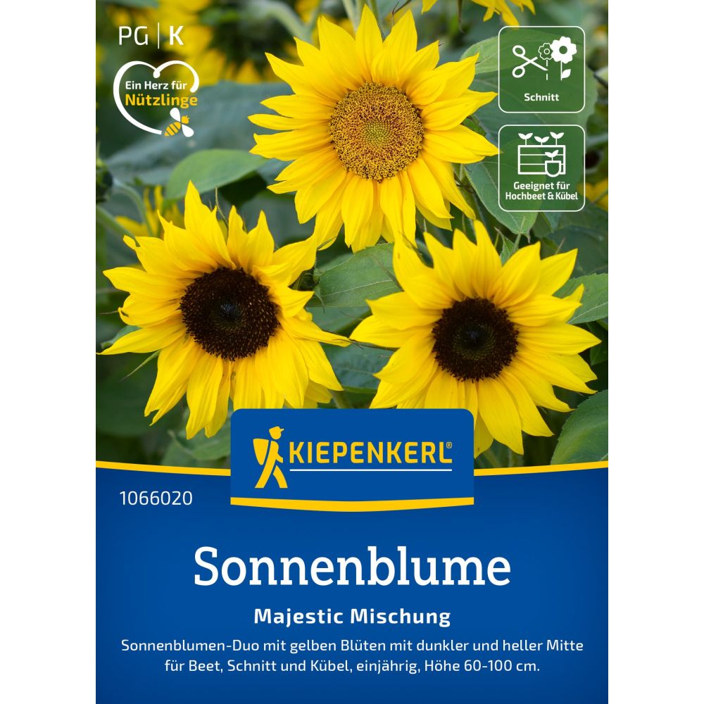 seminte floarea soarelui mix majestic